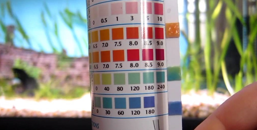 Pool Time Test Strips Color Chart